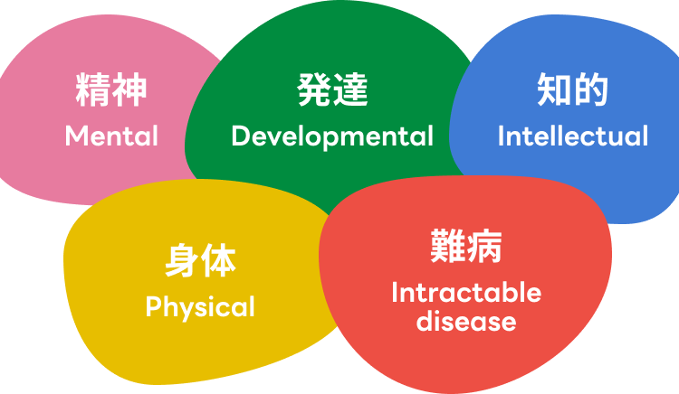 精神Mental 発達Developmental 知的Intellectual 身体Physical 難病Intractable disease