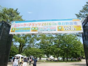 CIMG3497